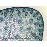 Набор микропрепаратов Bresser 50 шт., в кейсе 73766